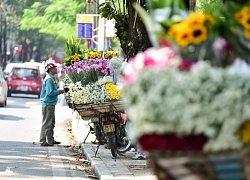 Dạo quanh Hà Nội ngắm "họa mi" dịu dàng xuống phố