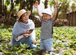 Dương Cẩm Lynh: 'Tôi từng trăn trở chuyện tái hôn'