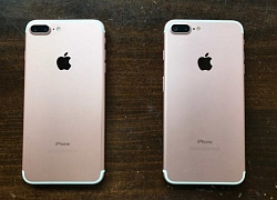 FBI phá đường dây lừa đảo Apple với 10.000 iPhone, iPad giả