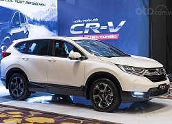 Honda CR-V tiếp tục vượt mặt Mazda CX-5 trong phân khúc CUV tháng 11/2019