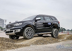 Khuyến mại Ford tháng 11/2019: Ford Ranger và Everest ưu đãi 20-25 triệu đồng