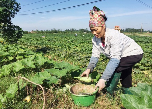 Làm nông nghiệp an toàn từ những điều nhỏ nhất