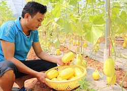 Lào Cai: Diện mạo nông thôn mới ở Gia Phú ngày càng khang trang