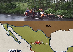 Người đàn ông Mexico 6 năm đi gần 14.000 km cứu 500 chú chó