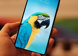 Nguyễn Tử Quảng tiết lộ lý do lùi ngày ra Bphone 4