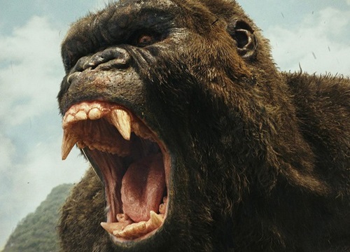 Phát hiện loài linh trưởng khổng lồ là nguyên mẫu của 'King Kong'