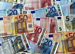 Phó Chủ tịch ECB kêu gọi mở rộng bộ công cụ chính sách tiền tệ