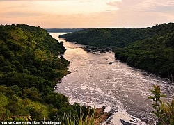 Tuổi của sông Nile là 30 triệu năm