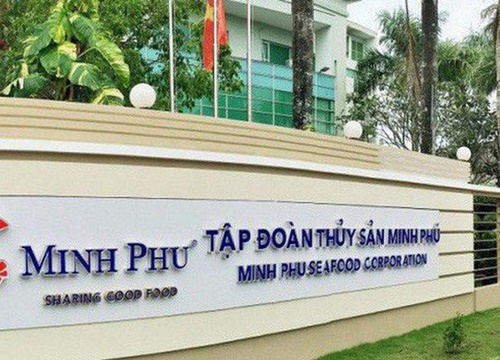 "Vua tôm" Minh Phú báo lãi giảm 36% trong 9 tháng, cổ phiếu đi xuống