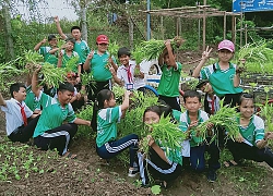 "Vườn rau sạch - gây quỹ giúp bạn học nghèo"