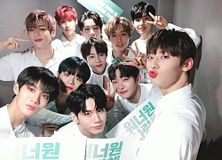 Sau thông tin 'Produce 101' mùa 1 và 2 cũng gian lận, cư dân mạng đang dần chuyển sang thương cảm cho X1 và IZ*ONE?