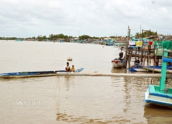 Cà Mau: Sạt lở khoét sâu nền đất, dân thấp thỏm lo nhà đổ sập