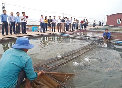 &#8220;Đánh thức&#8221; tiềm năng nuôi cá nước ngọt ở miền Bắc