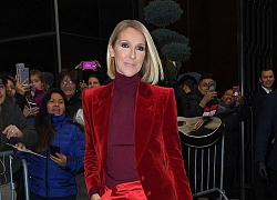 Diva Celine Dion ra phố như fashionista, trẻ ra cả chục tuổi