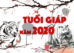 Dự báo năm Canh Tý 2020: Giải mã những biến động trong cuộc đời và vận hạn của người tuổi can 'Giáp'