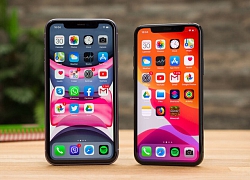 iPhone 11 đã giúp Apple tăng trưởng mạnh ở quốc gia tỷ dân