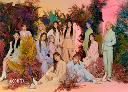 MNET xác nhận: Không có chuyện sẽ mở bán album IZ*ONE ngày 22/11