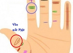 Thứ trên ngón tay cái rất ít người có, mà một khi đã có tất hậu vận giàu sang, tiền tài rủng rỉnh