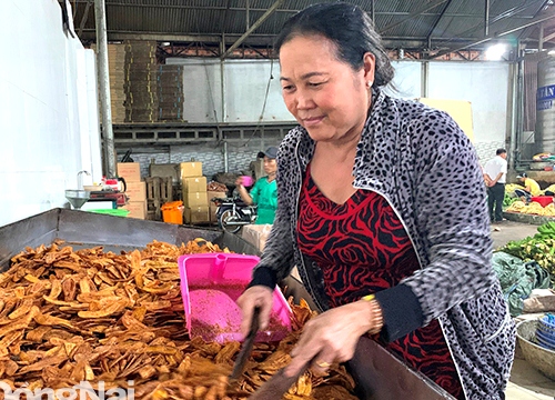 Trồng chuối bơm, chuối sứ bán cả lá, hoa, quả đem sấy thành đặc sản