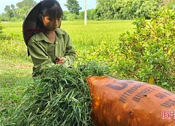 "Bà ngoại vừa là cha, là mẹ, cũng là cả thế giới của em"