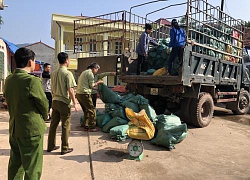 Chặn đứng trên 5.000 kg chân lợn và lòng lợn xuất lậu