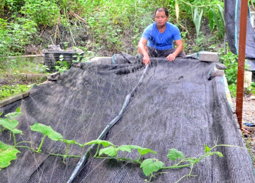 Bỏ lương nghìn đô, trai phố lên rừng nuôi...giun vẫn thành tỷ phú