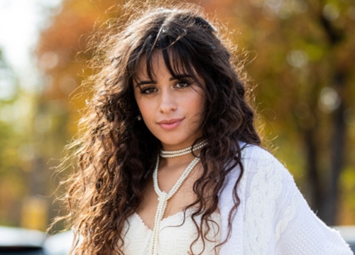 Trước Senorita, Camila Cabello đã gầy dựng tên tuổi của mình với những bản hit nào?