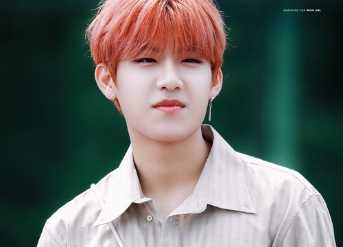 Có thể bạn chưa biết về chấn thương của AB6IX Woojin trên sân khấu lễ trao giải âm nhạc tối 16/11