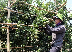 Đắk Nông: Triển khai đồng bộ nhiều giải pháp đẩy lùi đói nghèo