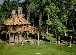 Độc, lạ ngày hội cắm trại dành cho cả gia đình ở Khu đô thị Ecopark