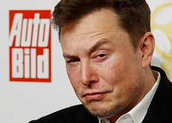 Elon Musk vừa dấn thân vào &#8220;hang hùm&#8221;, dám xây nhà máy sản xuất xe điện ngay tại nước Đức &#8211; thánh địa ô tô của thế giới