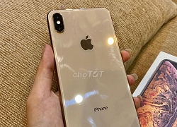 iPhone XS, XS Max mất Face ID tràn về Việt Nam, giá từ 13 triệu