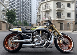 Sau 6 năm, mô tô Harley-Davidson mạ vàng 24k rao giá 1 tỷ ở Hà Nội