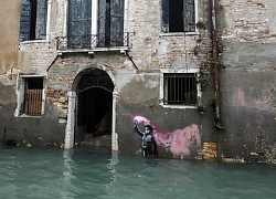 Tác phẩm nghệ thuật của Banksy ở Venice bị ngập