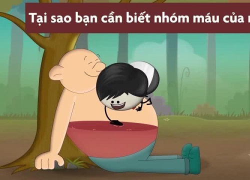 Tại sao bạn cần biết nhóm máu của mình?