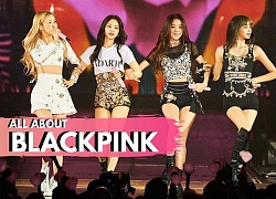 BLACKPINK trở thành girlgroup được theo dõi nhiều nhất trên Spotify