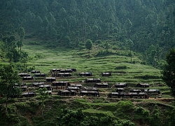 Bộ tộc sống theo bầy đàn cuối cùng ở dãy núi Himalayas