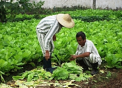 Chuyến buôn hàng định mệnh của người đàn ông bán bảo hiểm