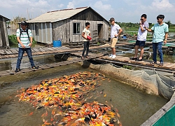 Cồn Sơn - "Quen" mà "lạ"