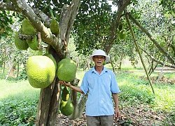 Đại Hưng hưởng "trái ngọt"từ nông thôn mới