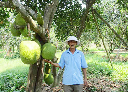 Đại Hưng hưởng "trái ngọt"từ nông thôn mới