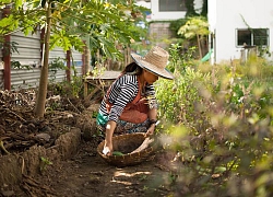 Du lịch Chiang Mai với những điểm đến đầy thú vị