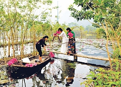 Hà Nội mùa hoa súng