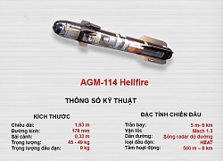 Infographic: UAV MQ-9, 'ác điểu bầu trời' và khúc bi tráng tại Trung Đông