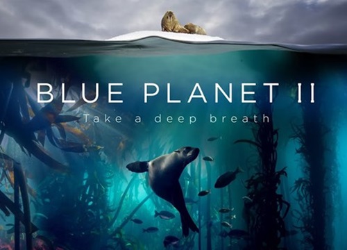 Loạt phim tài liệu 'Blue Planet II' giành giải thưởng Chatham House