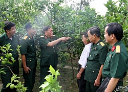 Phát huy truyền thống Bộ đội Cụ Hồ trên mặt trận mới