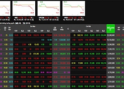 Phiên 22/11: VN30 bị bán quá đà, VN-Index tiếp tục lao dốc