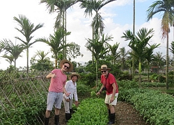 Quảng Ninh: Hiệu quả từ HTX du lịch-nông nghiệp sinh thái