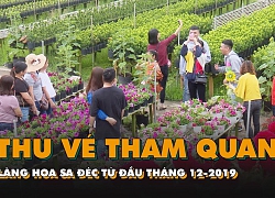 Thu vé tham quan làng hoa Sa Đéc từ đầu tháng 12-2019, giá vé 30 ngàn đồng/ người