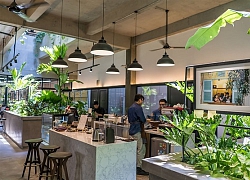 Toong Coworking Space: Cảm hứng kiến tạo từ lối sống xanh